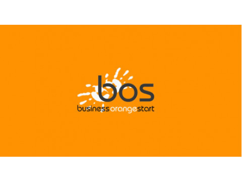 Встреча с Дмитрием Климовым в Бизнес-школе BOS (Санкт-Петербург)